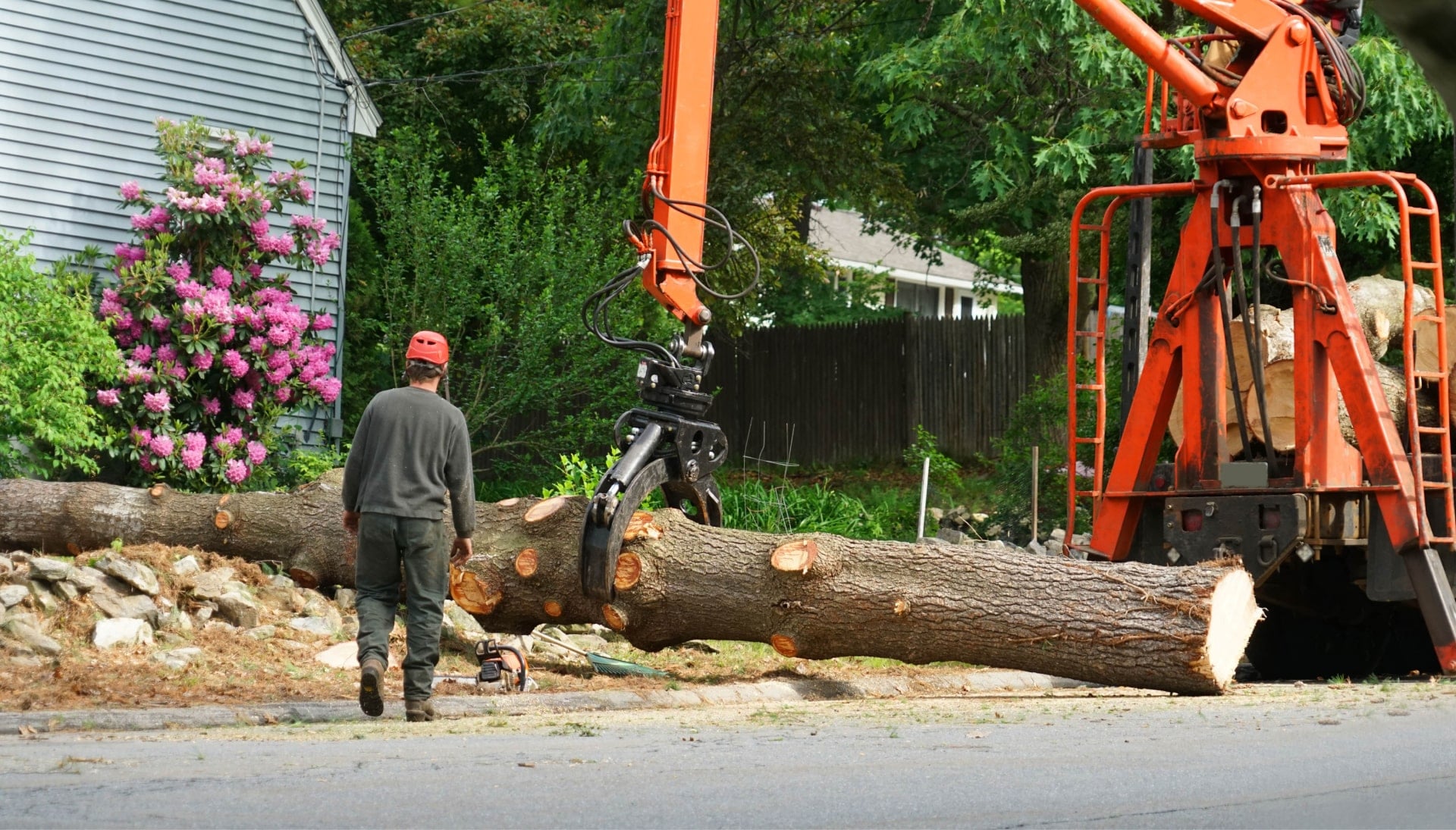 Local partner for Tree removal services in Canton